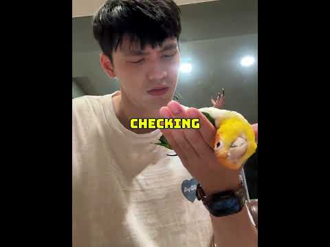 “A gift… from the heart 💩”