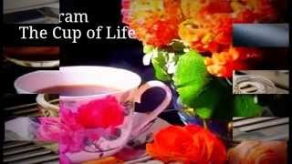 Tadaram ♫The Cup Of Life♫
