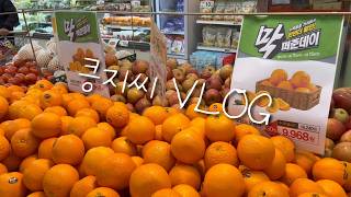 sub 브이로그 l 작년에 왔던 킁지씨가 잊지도 않고 또 왔네~🎶🎵(당근케이크, 매화, 벚꽃, 선진리성, 새벽수영, 웨스틴조선 부산)