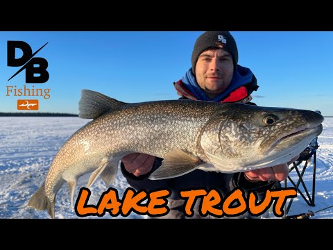 LAKE ATHAPAPUSKOW LAKE TROUT! With Mac Mulligan ( Underwater footage)