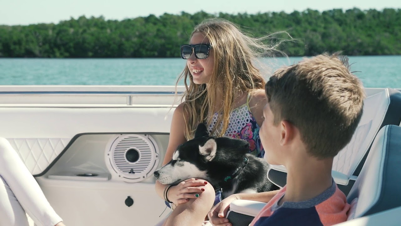 World Cat 400DC-X - Promo Video