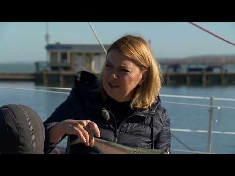 Gasztroangyal 40. rész - A balatoni hal (2018)