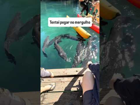 Mergulho de cilindro no rio em Rio Quente - Goiás, foi incrível.