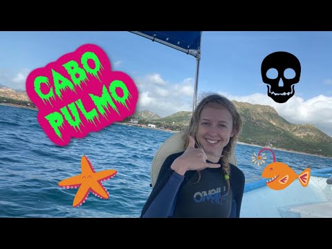 Scariest Dive EVER! Cabo Pulmo!