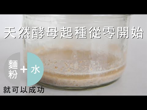 《不萊嗯的烘焙廚房》天然酵母起種從零開始 (麵粉+水)