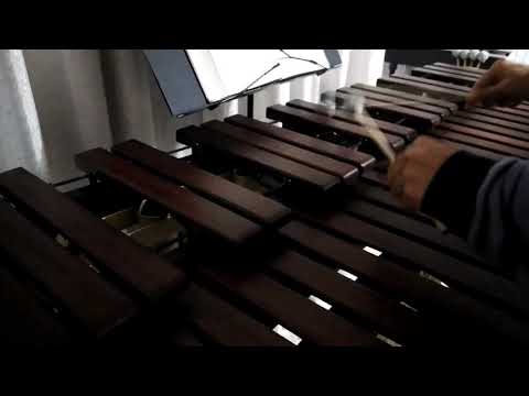 Inni di lode N°139: La mia ricchezza Marimba Cover