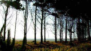 La Hell Gang - There Is The Place