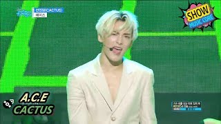 [HOT] A.C.E - CACTUS, 에이스 - 선인장 Show Music core 20170715