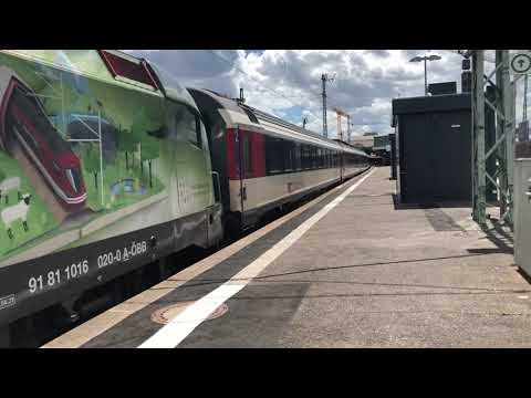 Taurus macht Musik in Stuttgart