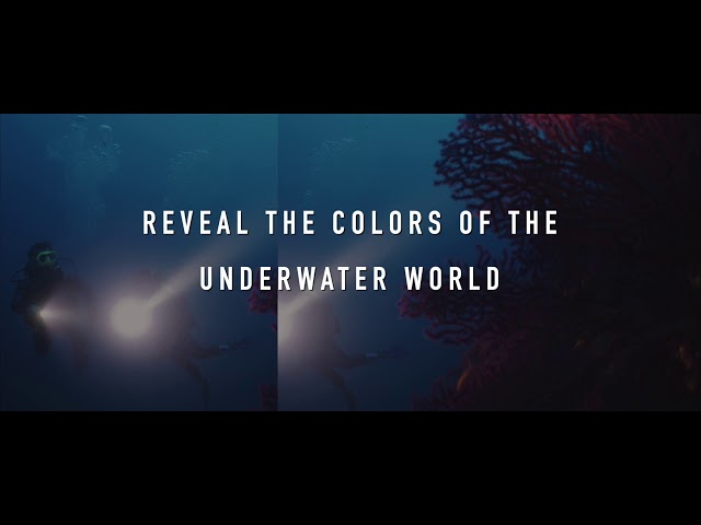 Lampe Aqualung SeaFlare Pack Plus Reveal Color vidéo