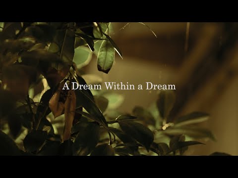 A Dream Within a Dream by Edgar Allan Poe