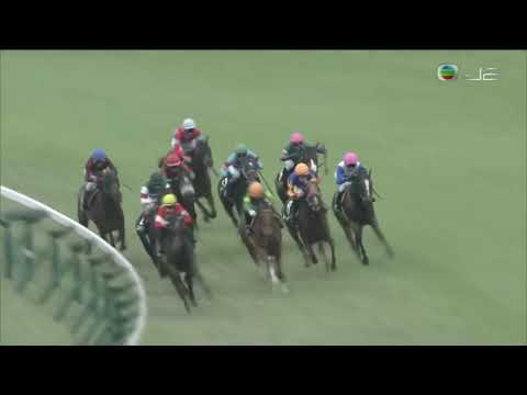 2018 Japan Saffron Sho - Red Anemos (赤風女俠) - Y.Kawada