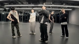 [WayV - Miracle] dance practice mirrored
