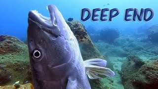 7lb Mu and Tako in ONE DROP, Huge Ukus - Spearfishing Hawaii