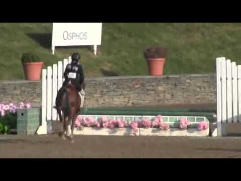 Video of Clovermeade Brilliantly Bunny ridden by Blythe Novick from ShowNet!