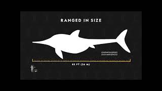 Reading Explorer Foundation, Unit-11 Ichthyosaurs