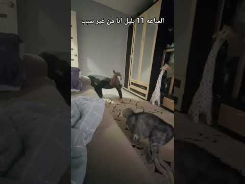 كل يوم فيدو جديد لايك ومتابعه يرحم احلك