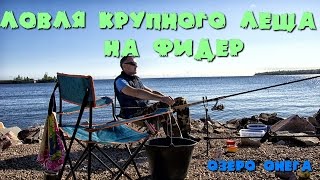 Ловля на фидер весной в карелии