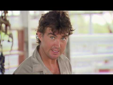 DEADLY Brown Snake in Camp