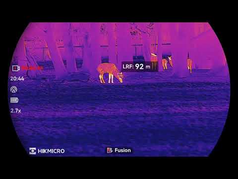 HIKMICRO CONDOR LRF& FALCON 2.0| Deer& Wildboar