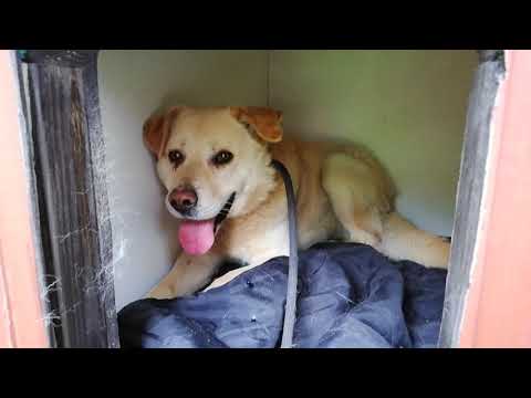 Misio chce wierzyć, że człowiek to nie tylko strach i ból