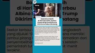 Kerbau Julukan Donald Trump Diselamatkan dari Sembelihan Idul Adha, Dikirimkan ke Kebun Binatang