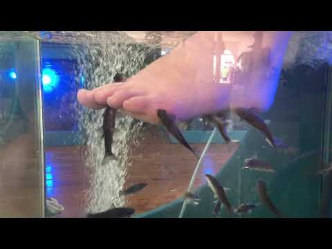 Faith’s Pedicure by fishies