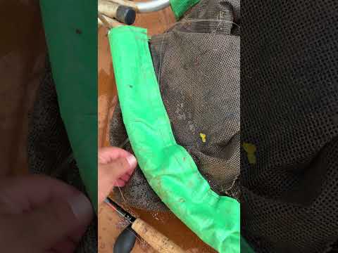 Pescaria no pesqueiro jóquei em Anápolis Goiás