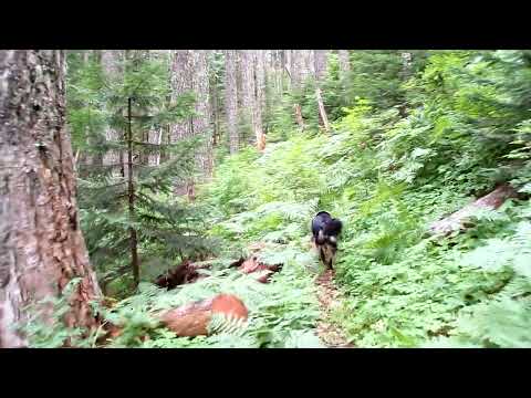Hike to West Coast Flight 956 crash site