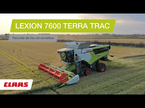 CLAAS In Campo 2020 - LEXION 7600 TT nel riso vercellese