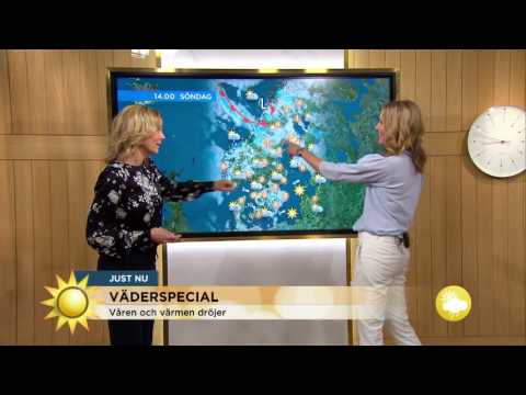 Väderspecial : "När kommer den där himla våren egentligen?" - Nyhetsmorgon (TV4)