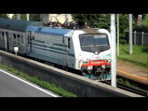 TreNord arlecchino (No comment)