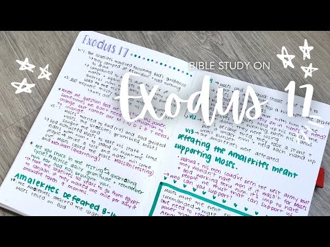 Bible Study on Exodus 17 | Study the Whole Bible with Me
