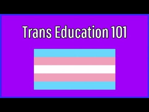 Trans Education 101