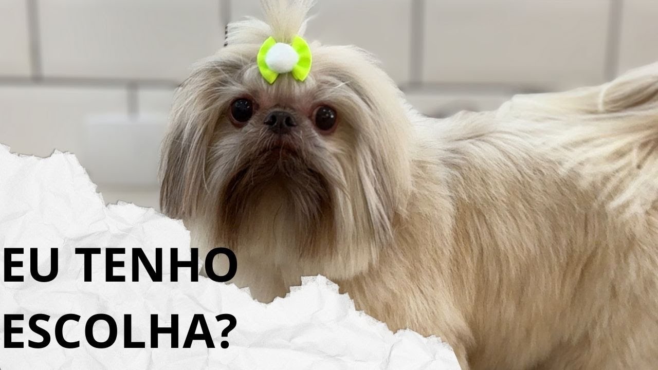 PORQUE AS PESSOAS FAZEM ISSO?