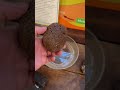 Amazing floating rock!      #rocks #rockhounders #geology #funfacts #adventure #pumice #volcano