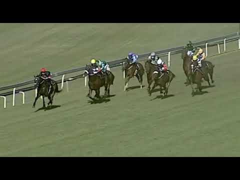 STONE COLD - Egoli Mile Turffontein
