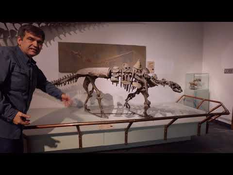 Paleo Profiles: Gastonia. Cutest armored dinosaur?