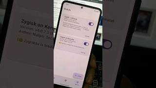 Enable Zygisk on KernelSU