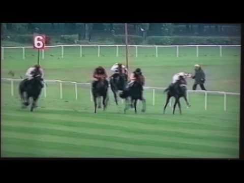 Nagroda Kozienic - 10.08.2002 - Mystery (Java Gold - My Secret)