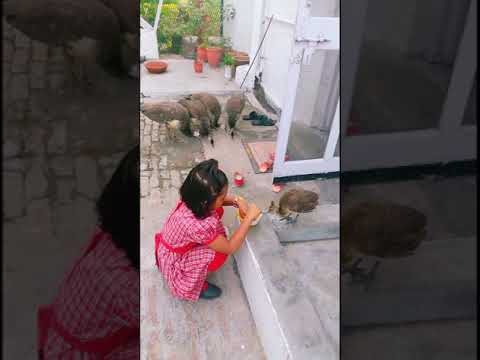 Radhika with Noshi and Peehu