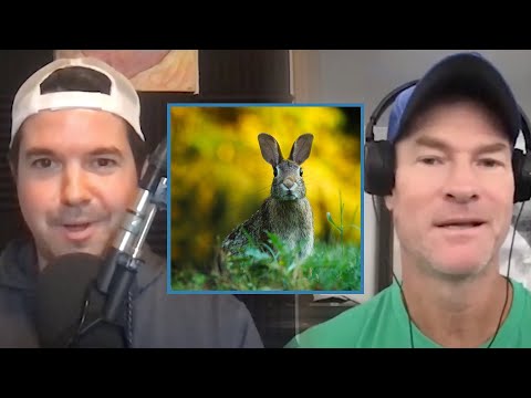 Does a Carnivore Diet or Vegan Diet Kill More Animals? | Dr. Shawn Baker