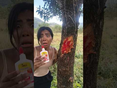 ELA CUIDOU DA 🌳 ÁRVORE MACHUCADA