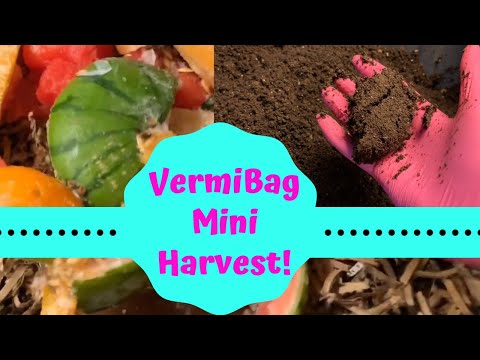 VermiBag Mini Harvest & Feeding
