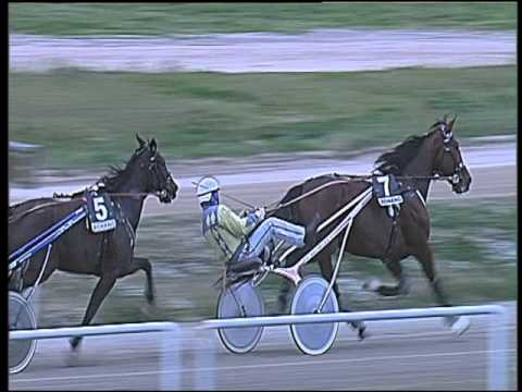 Trotto 21/02/2016 - 5° corsa