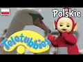 Teletubisie Po Polsku 60 DOBRA JAKOŚĆ Pełny Odcinek