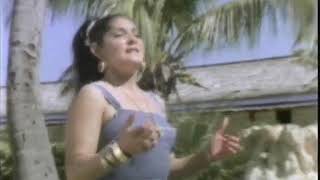 Besos Y Copas Lyrics English Translation