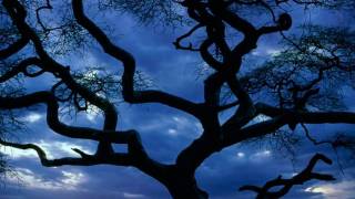 Serengeti Moon ~ Dan Fogelberg [CC] 59th