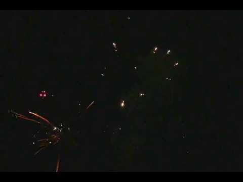 STEAUA CHAMPIONS LEAGUE 2013-2014