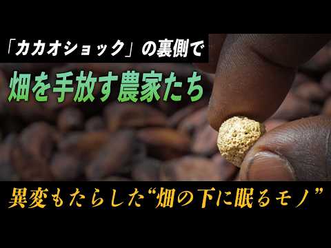 【カカオショックの裏側】チョコが値上がりしてるのに、カカオ農家が「畑を捨てる」意外な理由　異変をもたらしたのは…